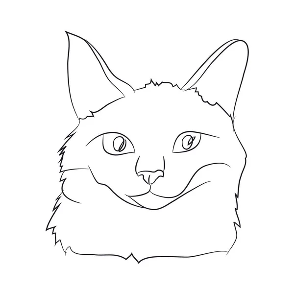 Gato retrato, líneas, vector , — Archivo Imágenes Vectoriales