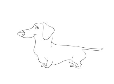 Çizgiler, beyaz arka plan ile çizim standları bir karikatür dachshund vektör çizim.