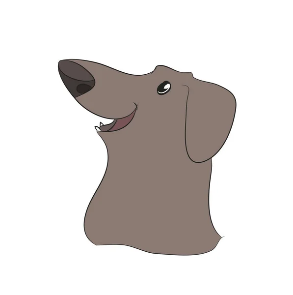 Perfil Retrato Cão Dachshund Olhar Para Baixo Vetor Fundo Branco —  Vetores de Stock