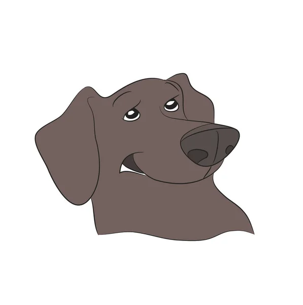 Perfil Retrato Cão Dachshund Olhar Para Baixo Vetor Fundo Branco — Vetor de Stock