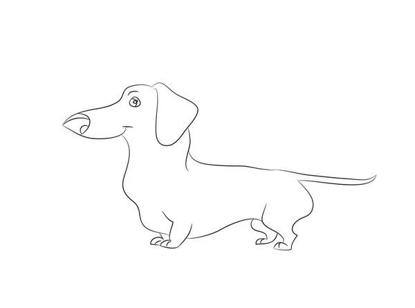 Vector Illustration Cartoon Dachshund Stands Drawing Lines White Background — Stock Vector