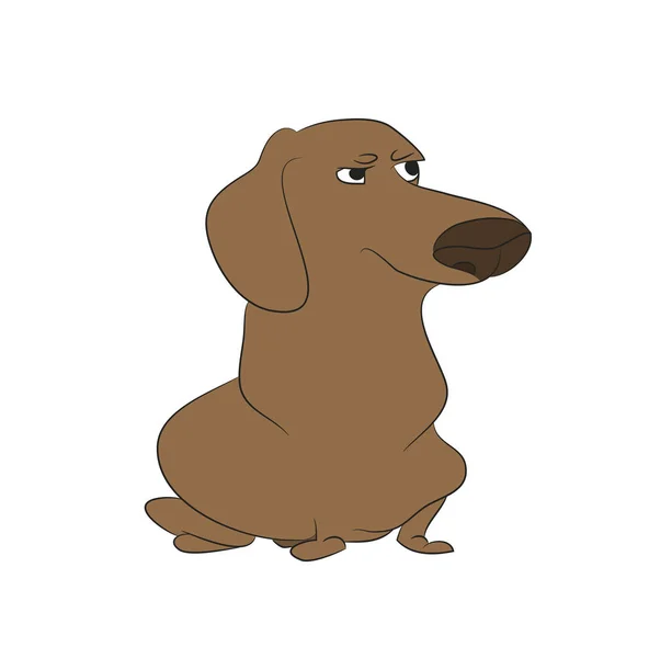 Ilustración vectorial de un dachshund que se sienta, dibujo en color — Vector de stock