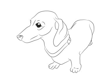 Vektör çizim çizim w standları bir karikatür dachshund