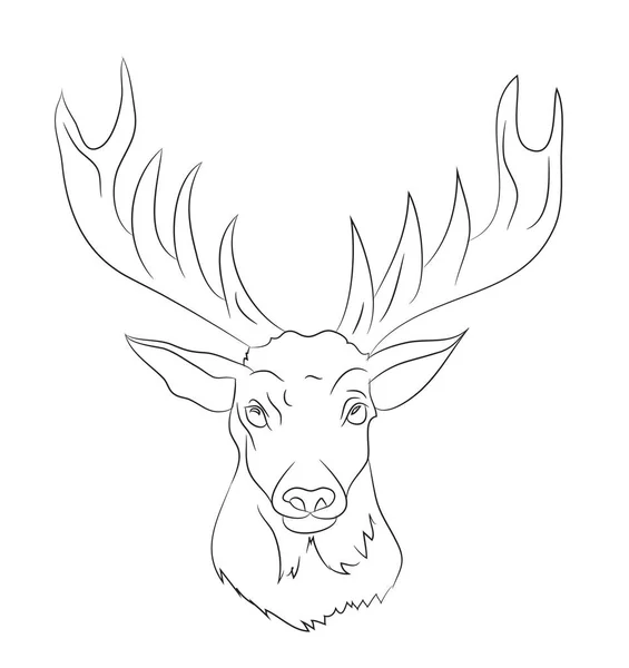 Deer portrait lines, vector — Stock Vector