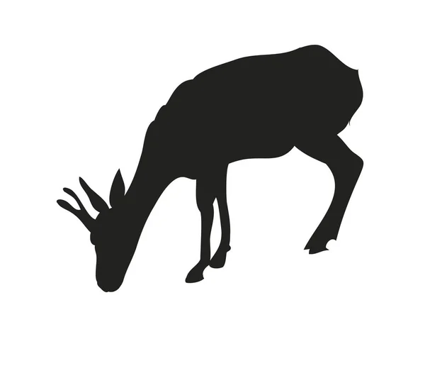 Illustrazione vettoriale gazzella disegno silhouette , — Vettoriale Stock