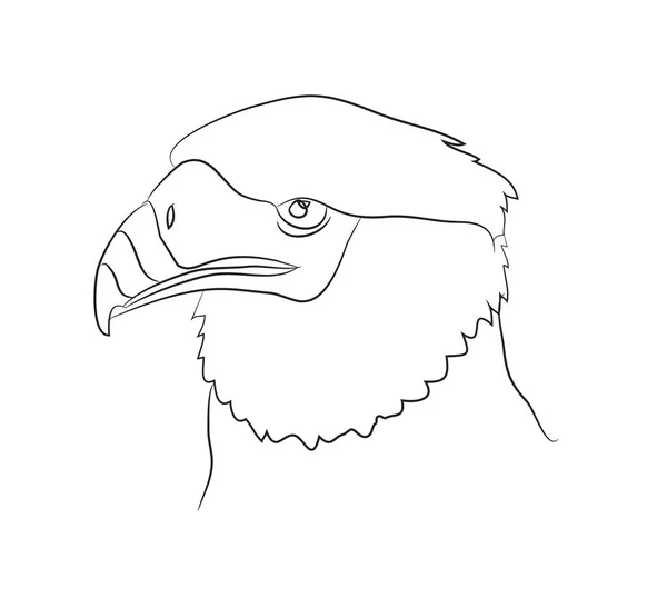 Illustration vectorielle du portrait d'aigle, dessin par lignes — Image vectorielle