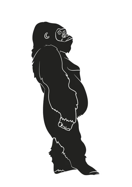 A gorilla, a rajz sziluett, a vektoros illusztráció vektor — Stock Vector