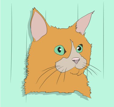 kedi portre vektör çizim