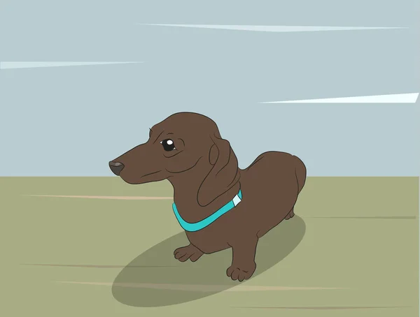 Ilustração vetorial de um dachshund que fica na rua — Vetor de Stock