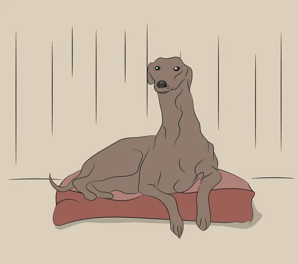 Vektor-Illustration eines Hundes, der im Raum liegt — Stockvektor