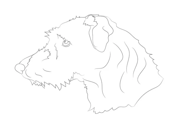 Portrait de chien, lignes, vecteur — Image vectorielle