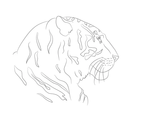 Portrét tygrů, vektorových čar — Stockový vektor