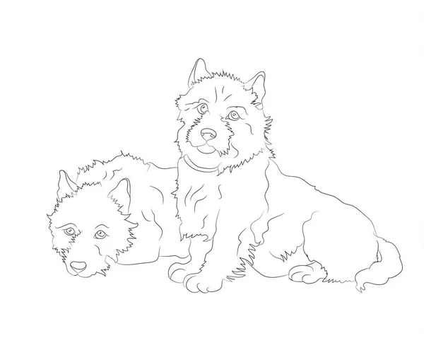 köpek yalanlar, çizgiler, vektör,