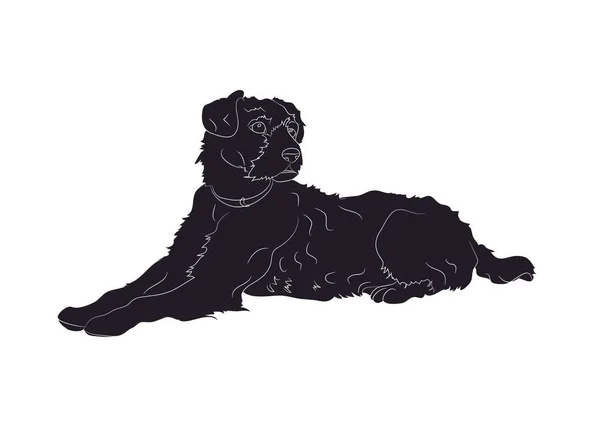 Hond leugens, silhouet, vector — Stockvector