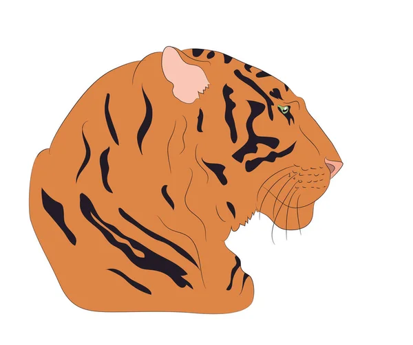 Retrato de un tigre naranja, vector — Vector de stock