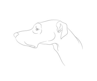 köpek portre, çizgiler, vektör