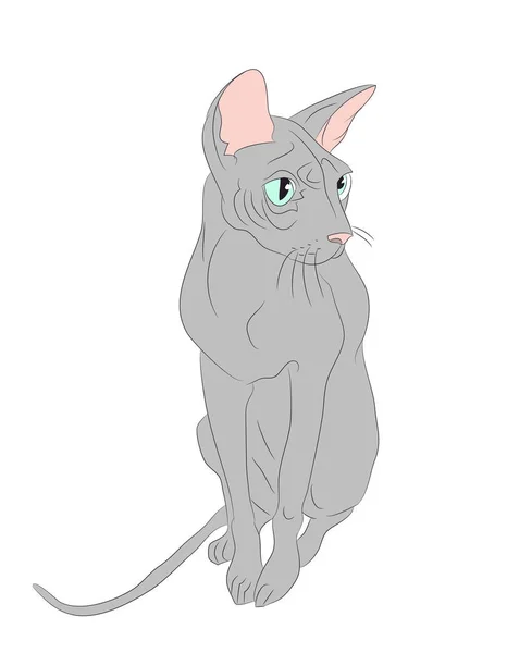 Vector ilustración gato sentado en color — Vector de stock