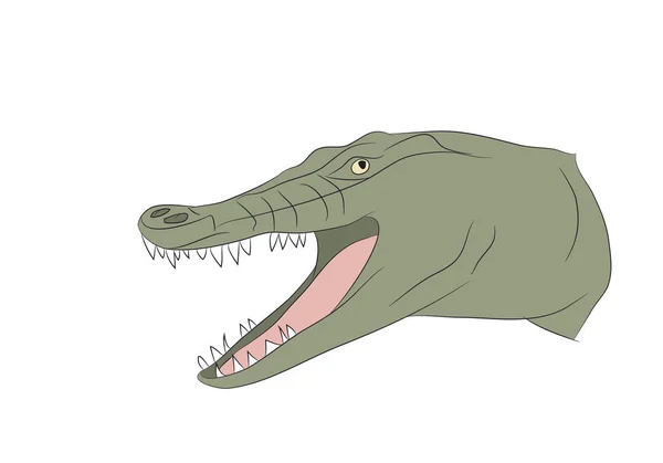 Ilustración vectorial de un retrato de cocodrilo, dibujo a color — Vector de stock