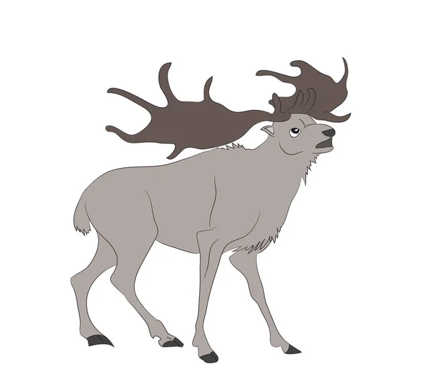 Vektor-Illustration eines Hirsches, der steht, Zeichnung Farbe — Stockvektor