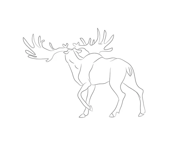 Vector illustration deer stands drawing lines, — Stock Vector