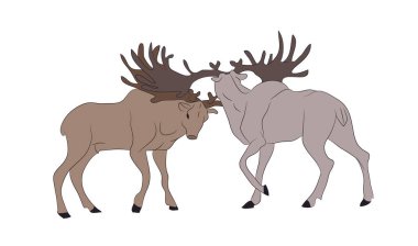 vektör Illustration geyik kim mücadele, vektör, renk