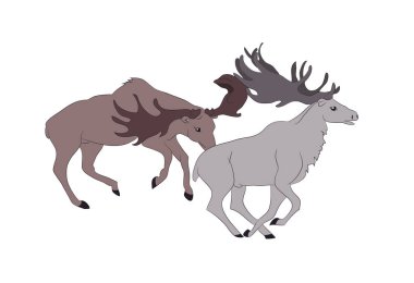 vektör Illustration geyik kim mücadele, vektör, renk