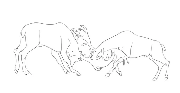 Illustration vectorielle d'un combat de cerfs, dessin par lignes — Image vectorielle