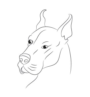 köpek portre, çizgiler, vektör