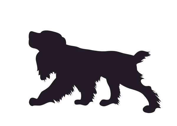 Perro corre silueta, vector — Archivo Imágenes Vectoriales
