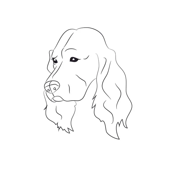 Portret van de hond, lijnen, vector — Stockvector