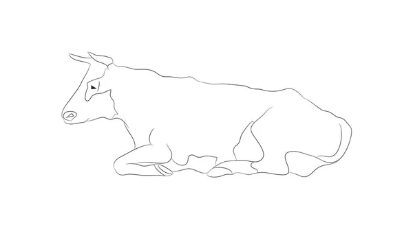 Illustration vectorielle d'une vache qui ment, dessin par lignes — Image vectorielle