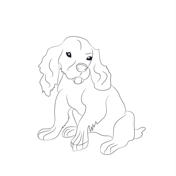 Perro sentado, líneas, vector — Archivo Imágenes Vectoriales
