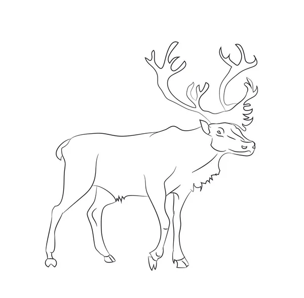 Vektorová ilustrace jelen má nakreslené čáry, — Stockový vektor