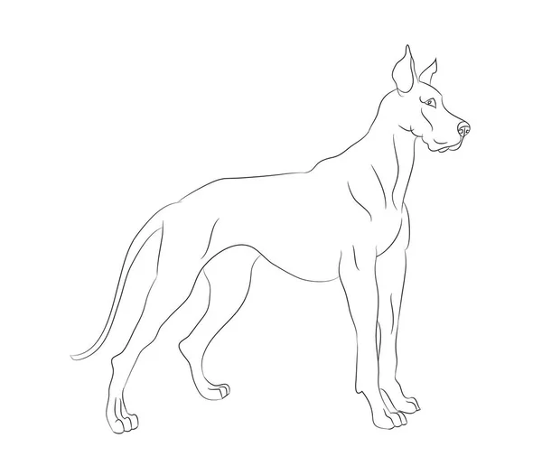 köpek standları, çizgiler, vektör