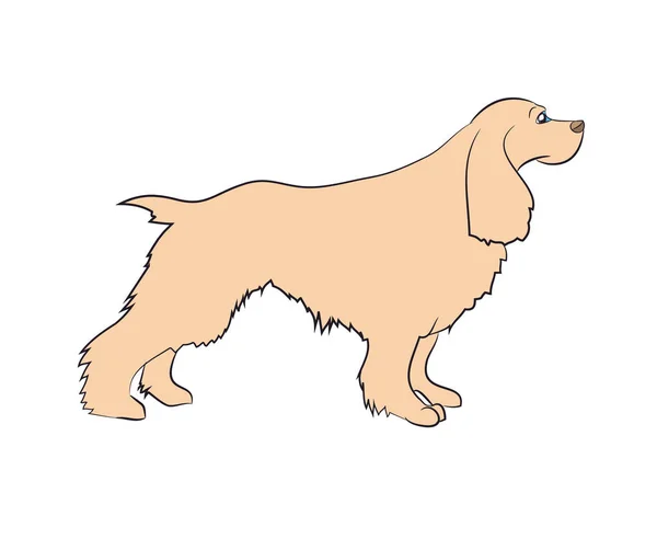 Vector illustratie hond staat — Stockvector