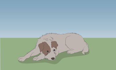 köpek yalanlar, doğada