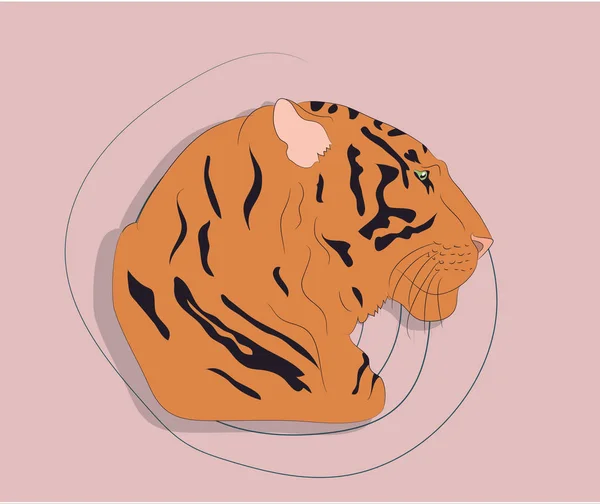 Portrét tygra na pozadí — Stockový vektor
