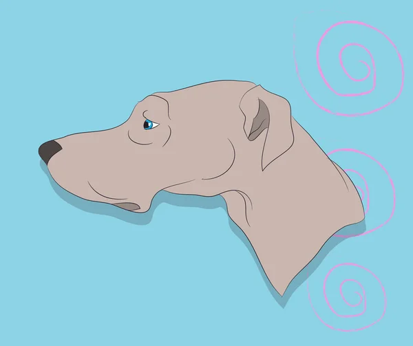 Perfil del retrato del perro, mirar hacia abajo — Vector de stock