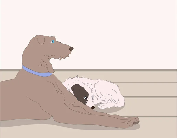 Векторная иллюстрация собаки, лежащей в комнате — стоковый вектор
