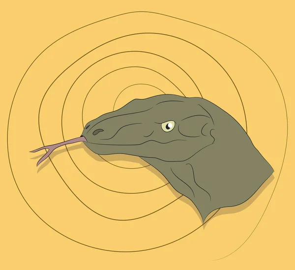 Retrato de lagarto, sobre un fondo de color — Vector de stock