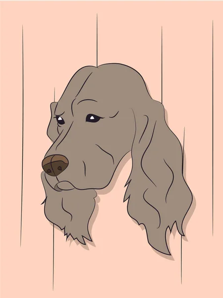 Porträt eines Hundes, Blick nach unten — Stockvektor