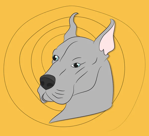 Pies portret profil, spójrz w dół — Wektor stockowy