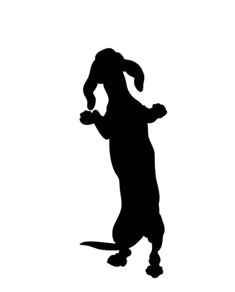 Supports pour chien, silhouette, vecteur — Image vectorielle