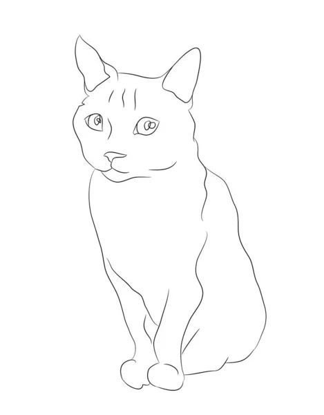 Illustration vectorielle chat assis, lignes de dessin — Image vectorielle