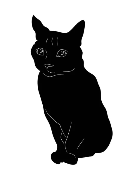 Oturan bir kedi vektör Illustration, siluet çizim — Stok Vektör