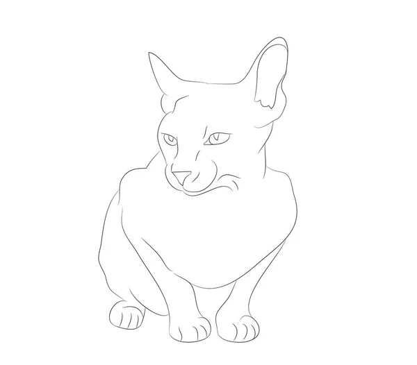 Vector ilustración gato sentado, líneas de dibujo — Archivo Imágenes Vectoriales