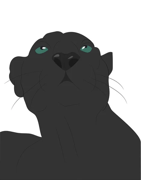 Vector illustratie van Panther portret, tekening kleur — Stockvector