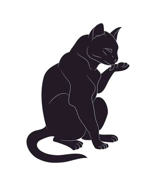 Vector illustratie van een kat die likt zijn poot, tekening silhoue — Stockvector