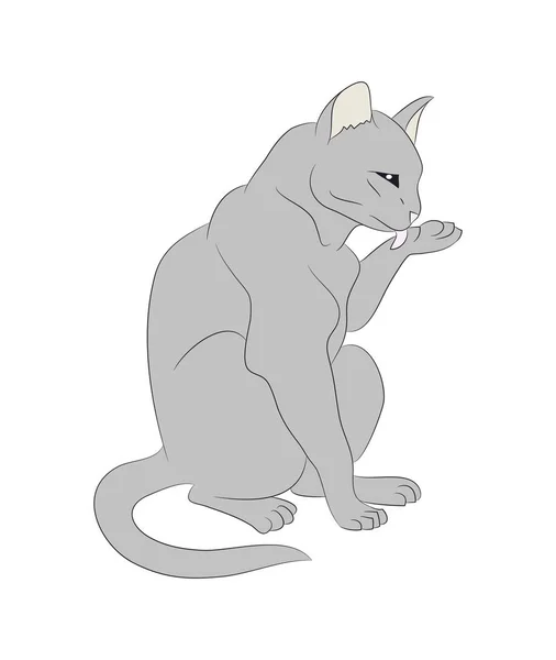 Vector ilustración de un gato que lame su pata, dibujo color — Vector de stock