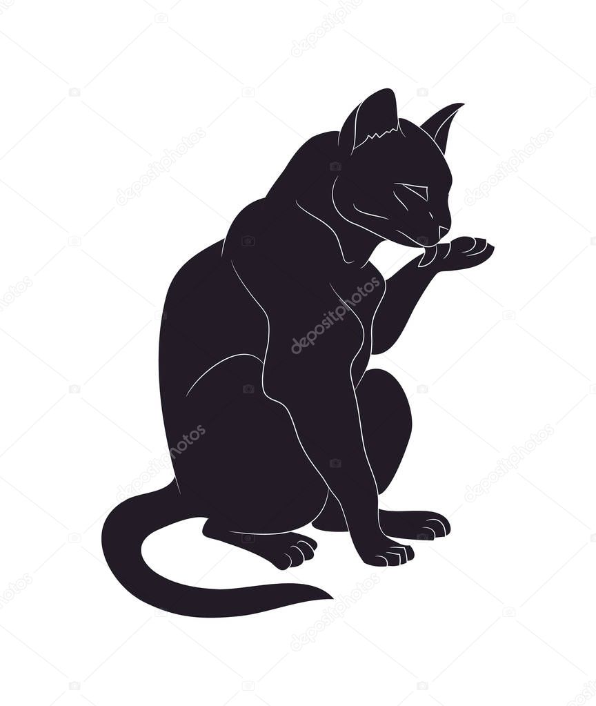 vector illustration of a cat that licks its paw, drawing silhoue